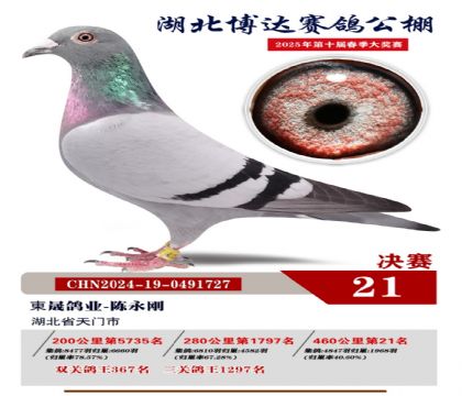 博達春棚決賽21名