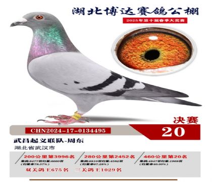博達春棚決賽20名
