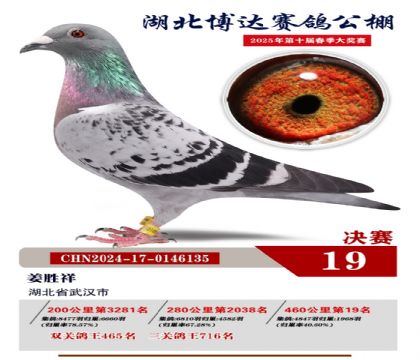 博達春棚決賽19名