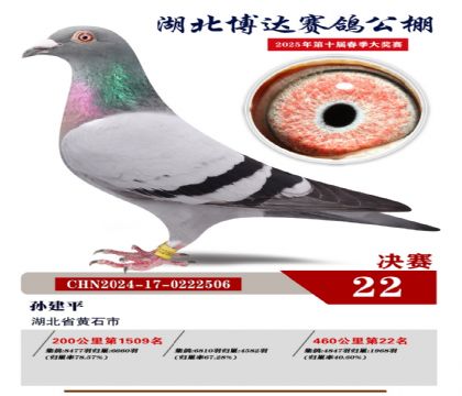 博達春棚決賽22名