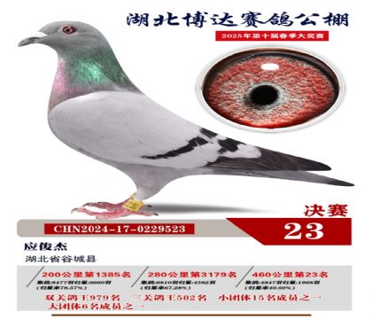 博達春棚決賽23名
