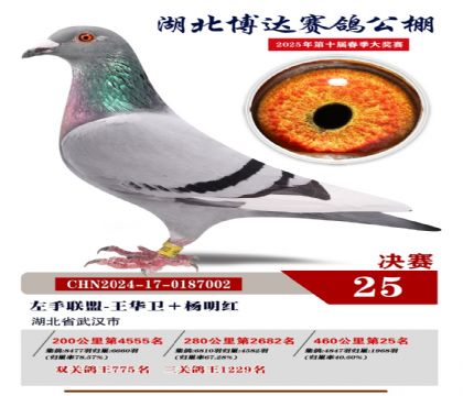 博達春棚決賽25名