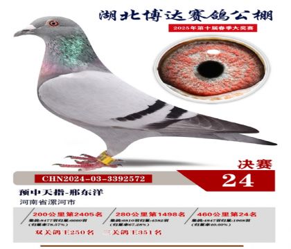 博達春棚決賽24名