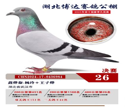 博達春棚決賽26名