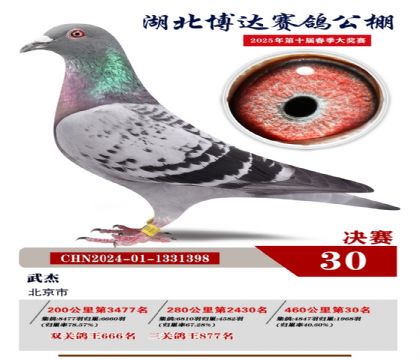博達春棚決賽30名