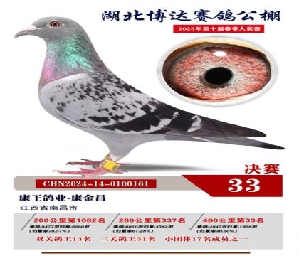 博達春棚決賽33名