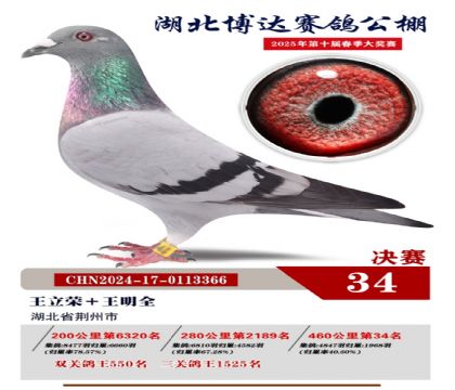 博達春棚決賽34名