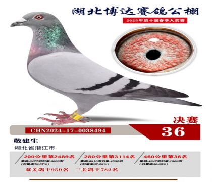 博達春棚決賽36名