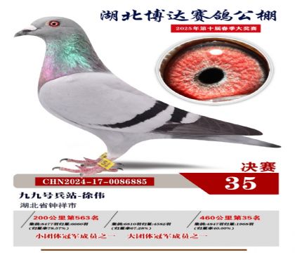 博達春棚決賽35名