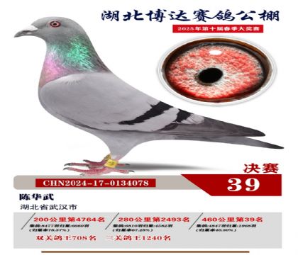 博達春棚決賽39名