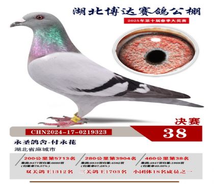 博達春棚決賽38名