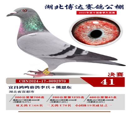 博達春棚決賽41名