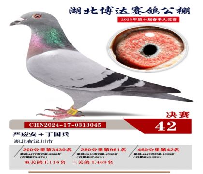 博達春棚決賽42名