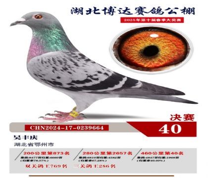 博達春棚決賽40名