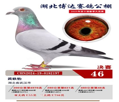 博達春棚決賽46名