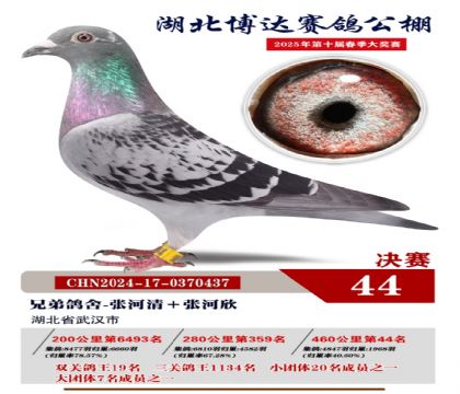 博達春棚決賽44名