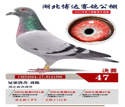 博達春棚決賽47名