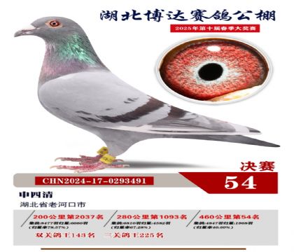 博達春棚決賽54名