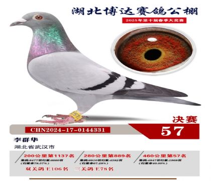 博達春棚決賽57名