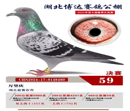 博達春棚決賽59名