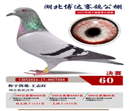 博達春棚決賽60名
