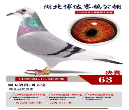 博達春棚決賽63名