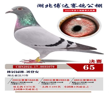 博達春棚決賽65名