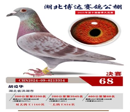 博達春棚決賽68名