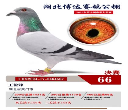 博達春棚決賽66名