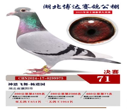 博達春棚決賽71名