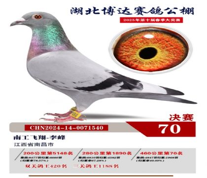 博達春棚決賽70名