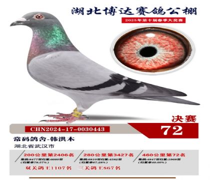 博達春棚決賽72名