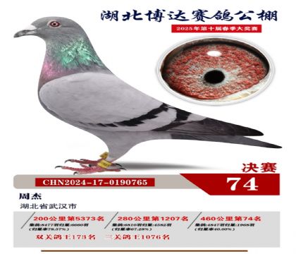 博達春棚決賽74名