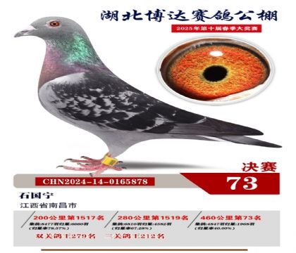 博達春棚決賽73名
