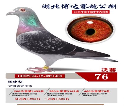 博達春棚決賽76名