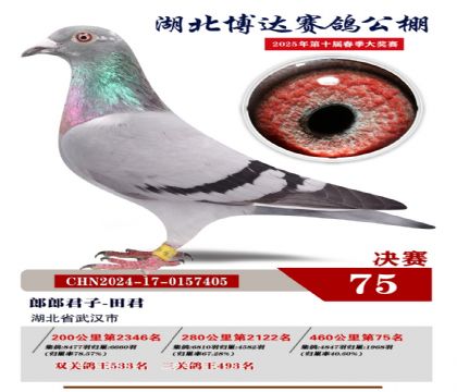 博達春棚決賽75名