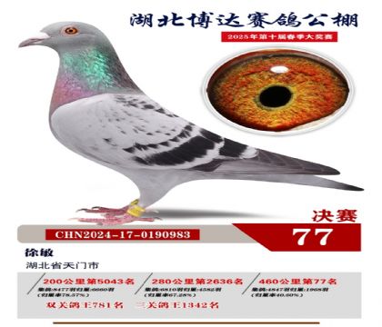博達春棚決賽77名