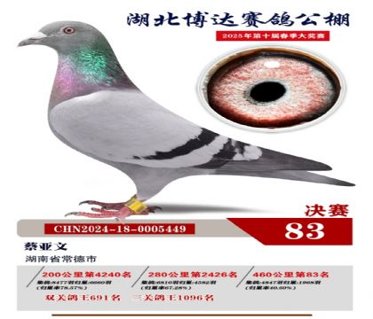 博達春棚決賽83名