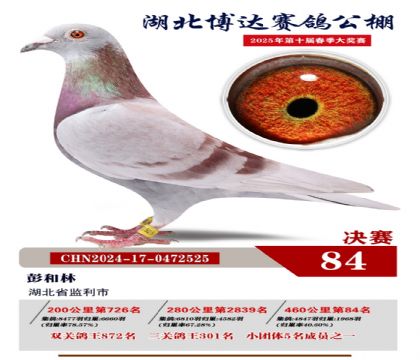 博達春棚決賽84名