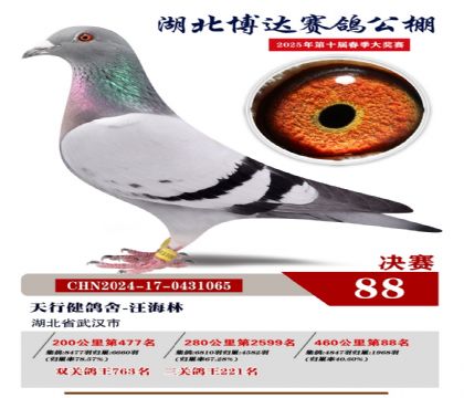 博達春棚決賽88名