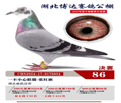 博達春棚決賽86名