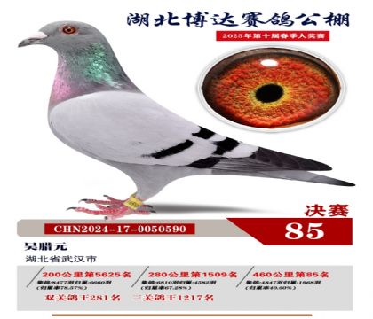 博達春棚決賽85名