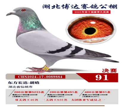 博達春棚決賽91名