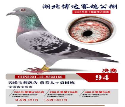 博達春棚決賽94名