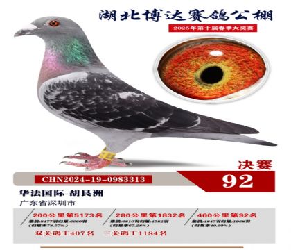 博達春棚決賽92名