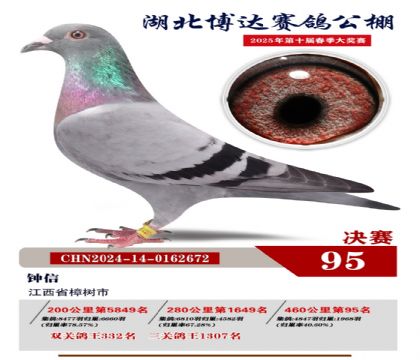 博達春棚決賽95名