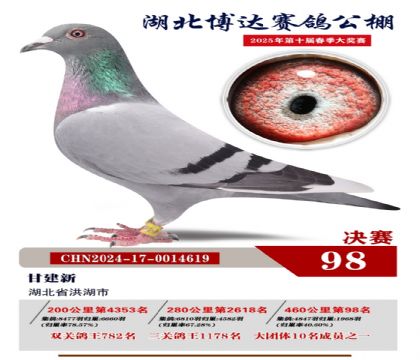 博達春棚決賽98名