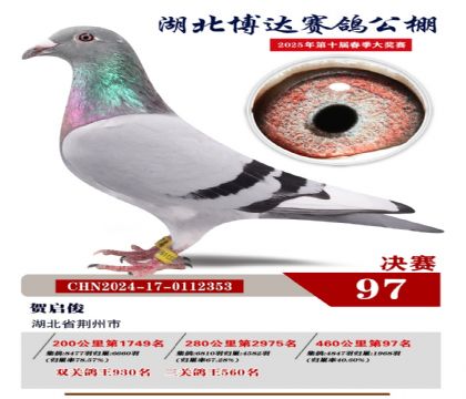 博達春棚決賽97名