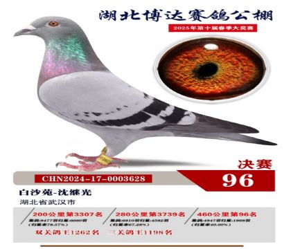 博達春棚決賽96名