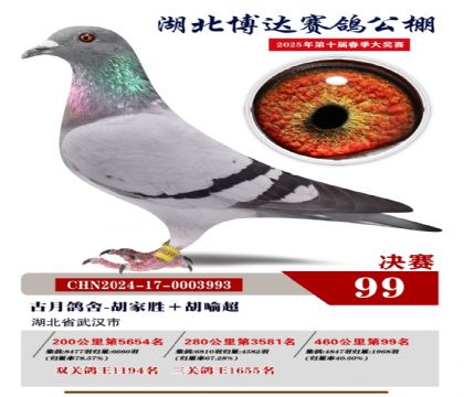 博達春棚決賽99名